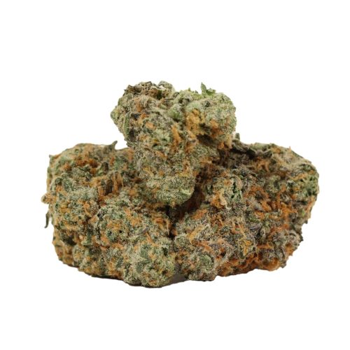 Scout Master strain cannabis