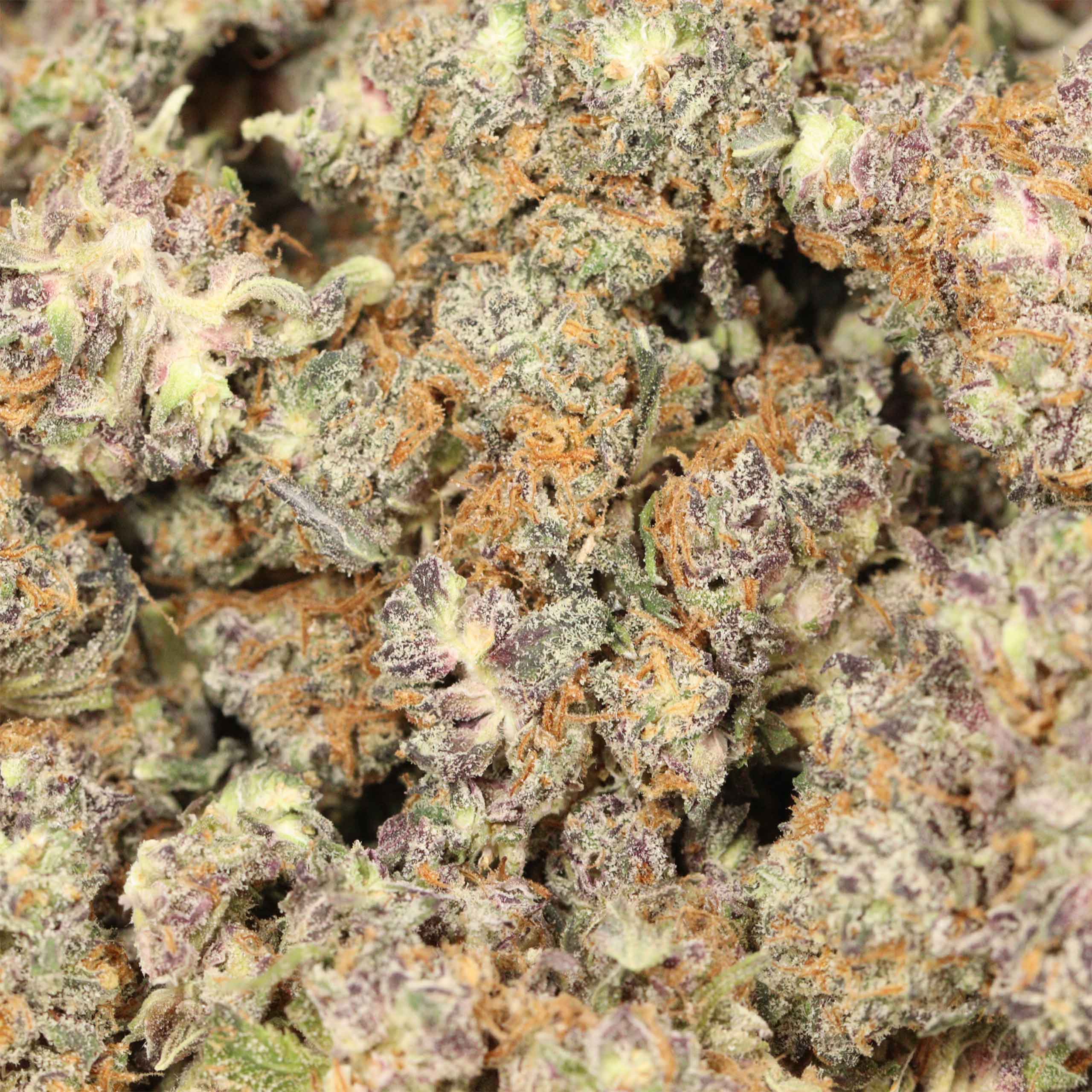 Skywalker - Image 3