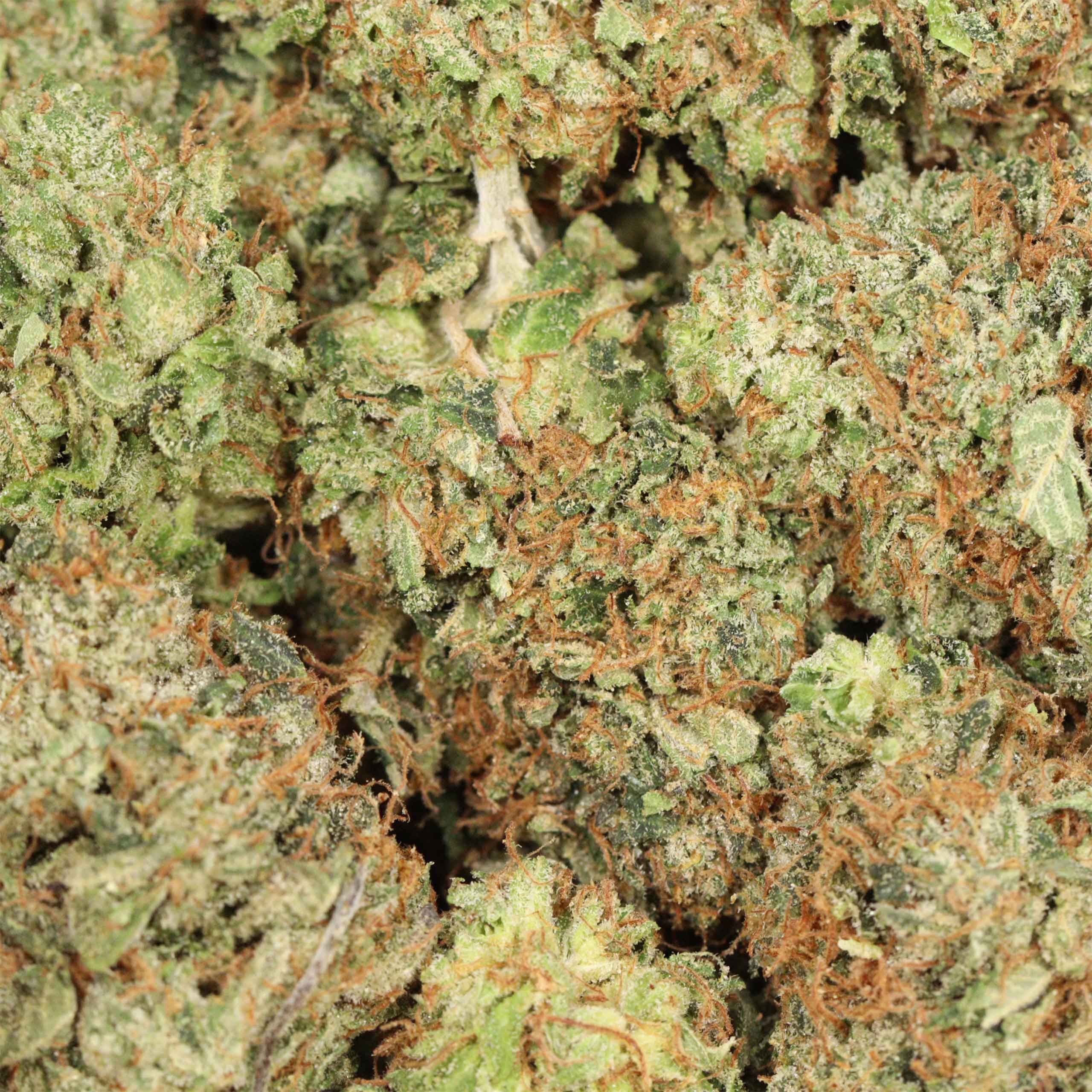 Tom Ford Pink Kush - Image 3