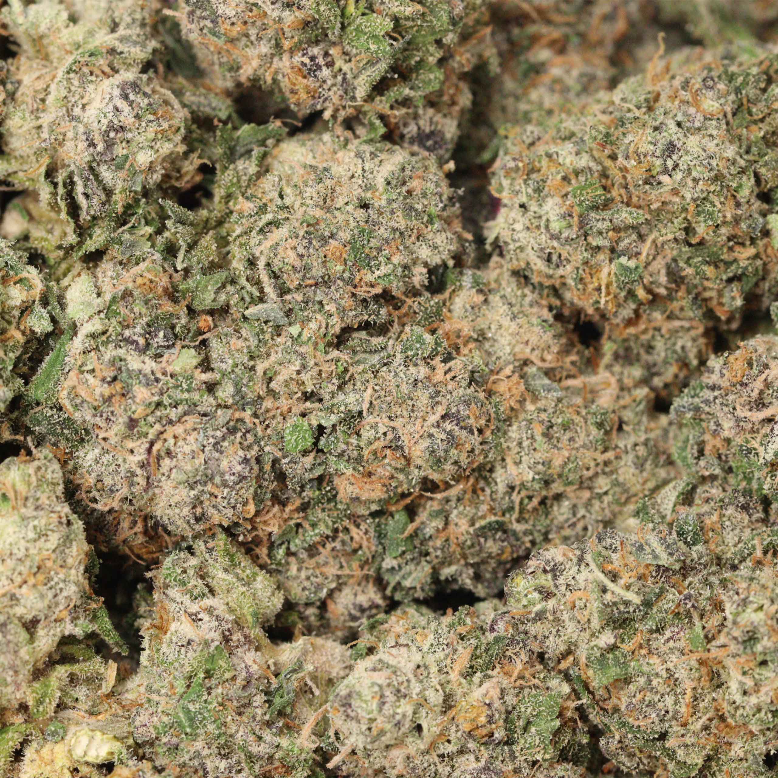 Tropicanna Banana cannabis wholesale