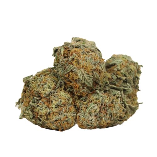 Tuna God strain cannabis