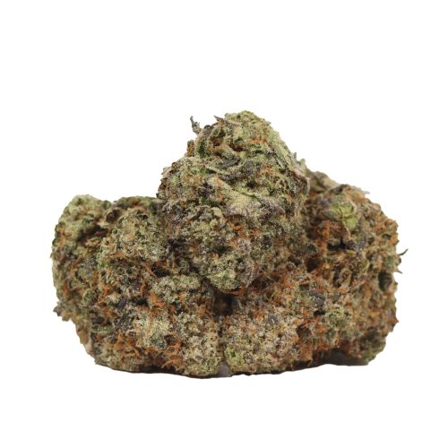 Tuna Kush craft strain cannabis