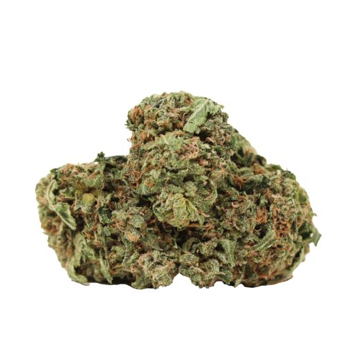 Ultra Pink strain cannabis