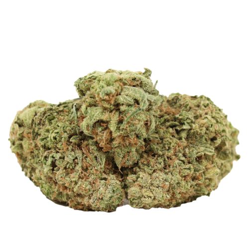 Violator Kush strain cannabis