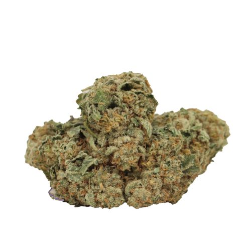 West Coast Diesel strain cannabis