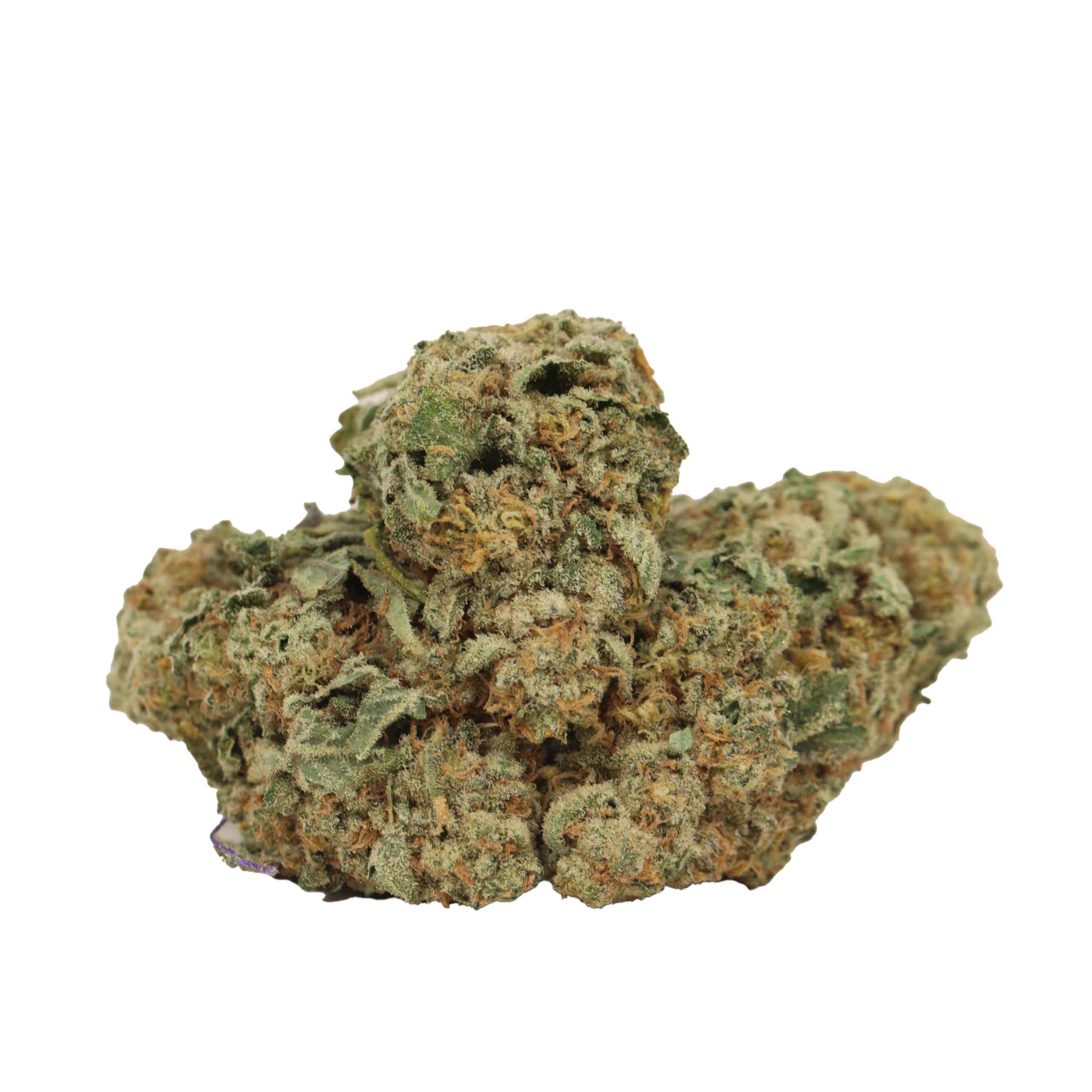 West Coast Diesel strain cannabis
