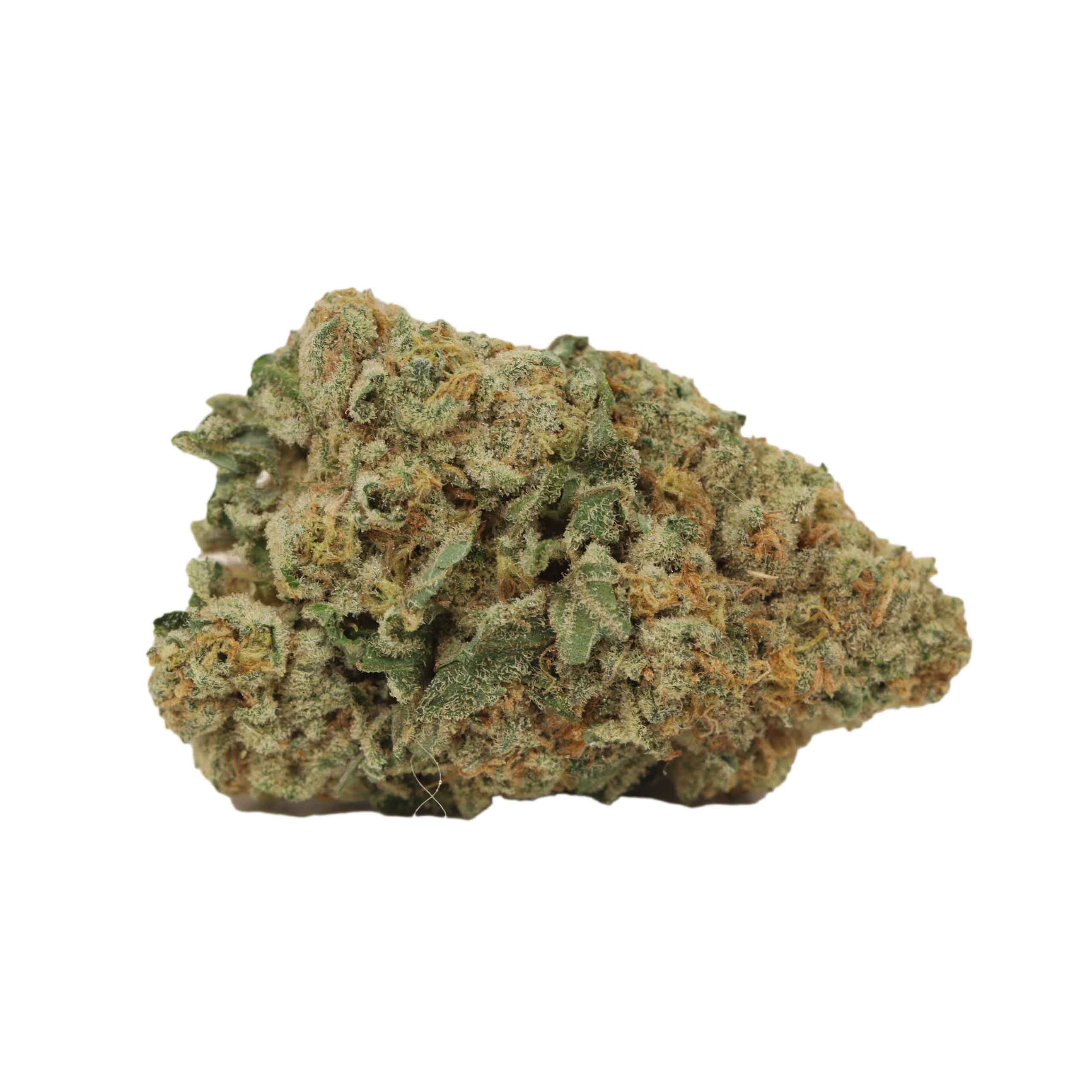 West Coast Diesel - Image 2